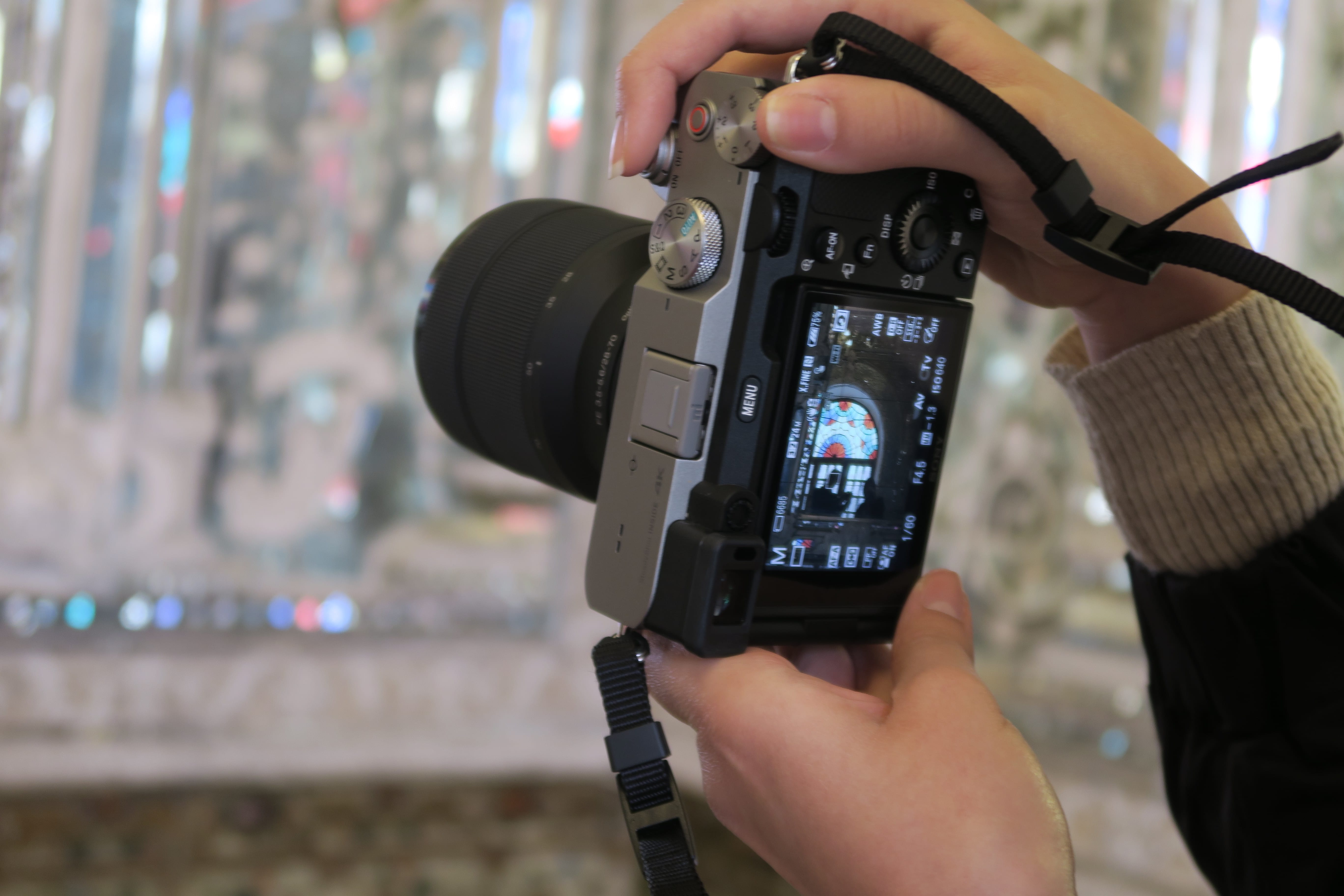 تصویر فیش در عکاسی