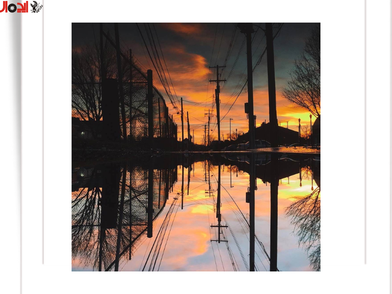 تصویر تقارن انعکاسی