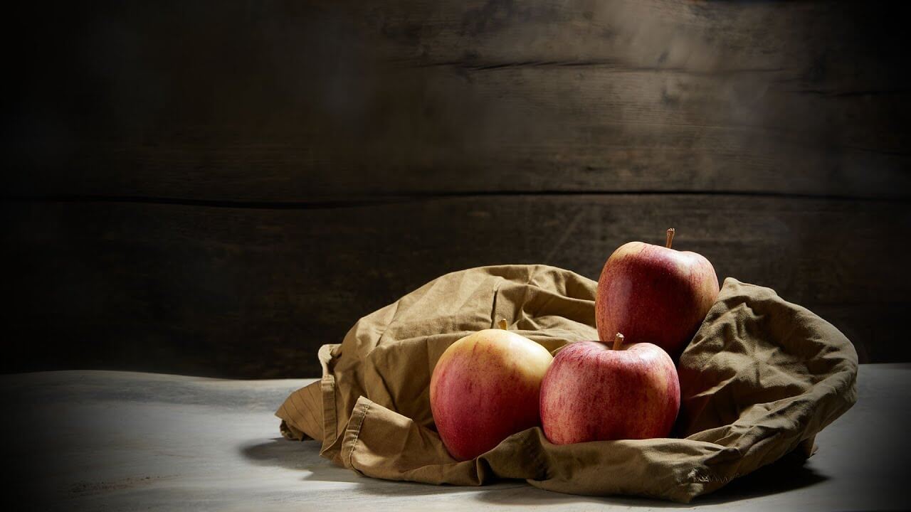 تصویر عکاسی طبیعت بی جان