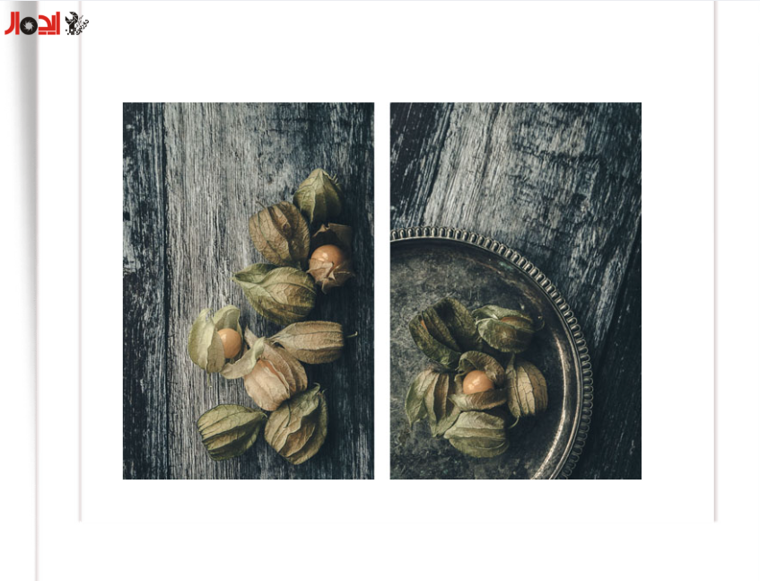 تصویر سبک عکاسی فاین آرت